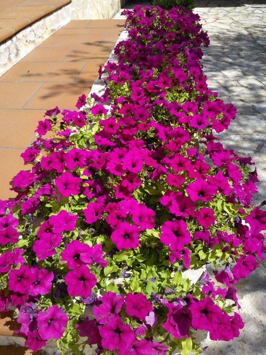 Albachiara Bed & Breakfast Monopoli Dış mekan fotoğraf
