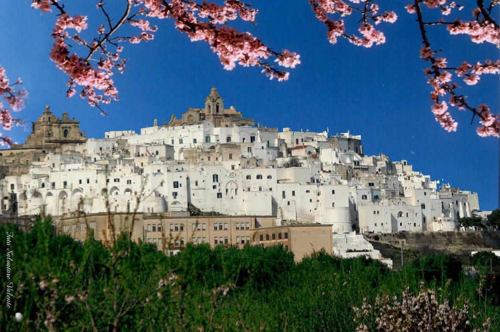 Albachiara Bed & Breakfast Monopoli Dış mekan fotoğraf