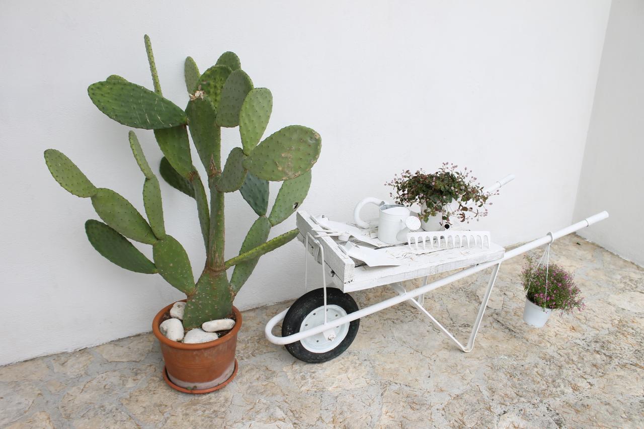 Albachiara Bed & Breakfast Monopoli Dış mekan fotoğraf